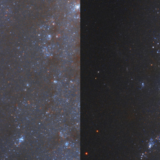 Stsci-01k073f69e26byha1qfr2x98b6