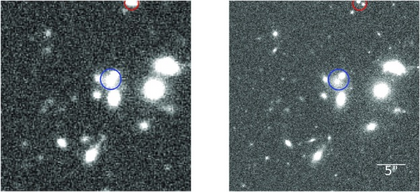 Roman-LSST galaxy image simulation Roman-LSST galaxy image simulation